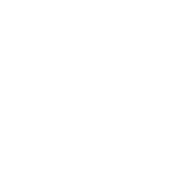 白鲸出海logo