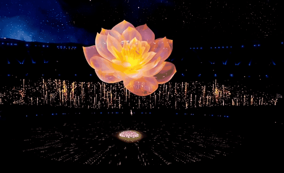 1697011017475500.gif 1.gif