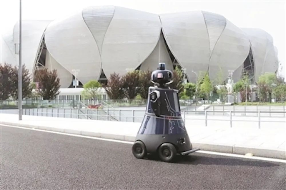 1697012094877346.jpg 10.jpg