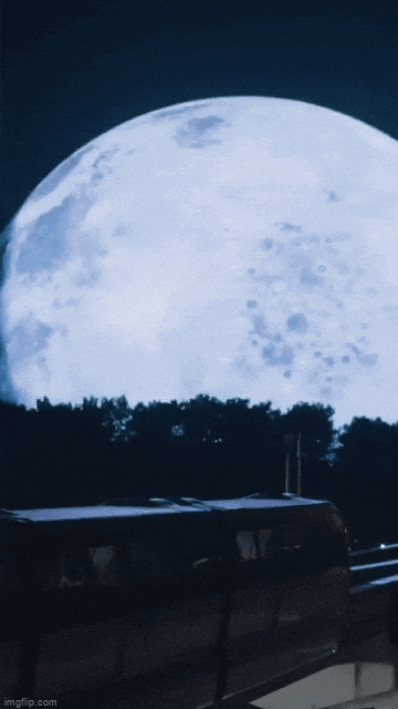 1697615450723492.gif 7.gif