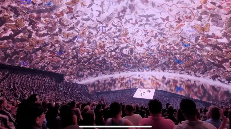 1697615891258031.png 24.png