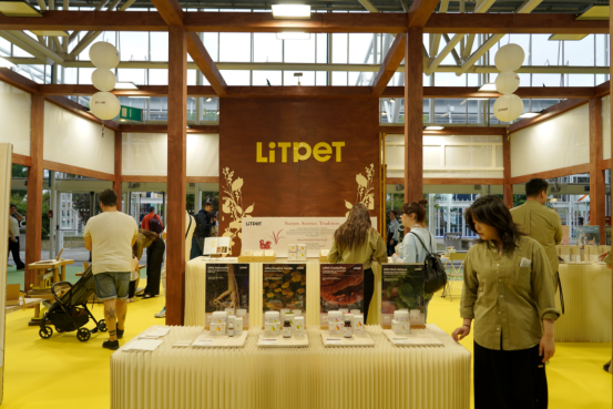 1767927524802767.png image.png