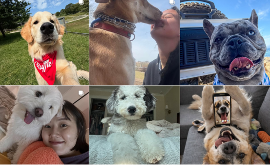 1772249634341427.png image.png