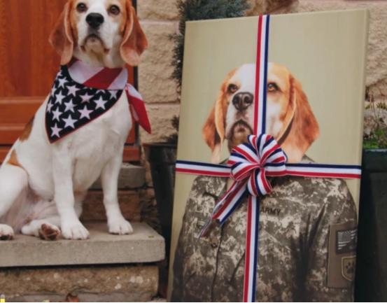 1772249678577613.png image.png