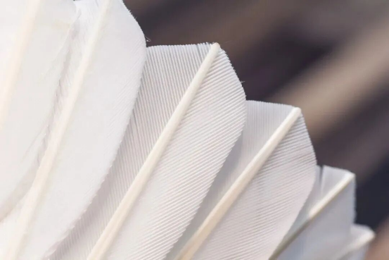 1772519893295614.png image.png