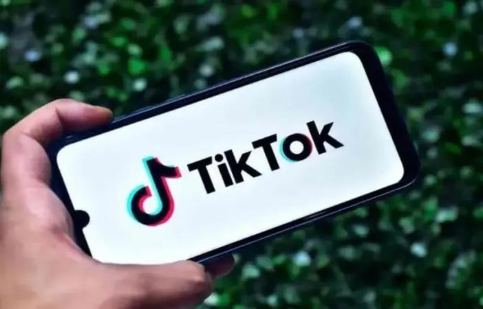 TikTok首次披露法国经营数据！收入比去年翻11倍