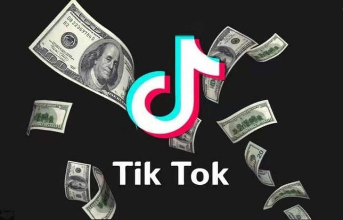 TikTok首次公开法国经营数据！收入竟然高达2960万