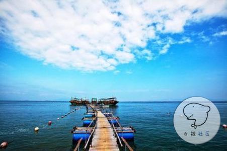 1460451085153923.jpg t01f5f9ddeff0715361.jpg