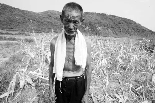 1478138976881279.jpg 640.webp.jpg