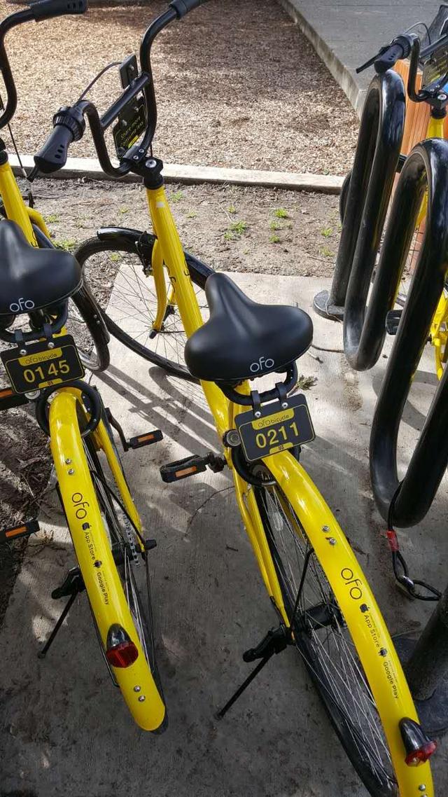 1487041726929117.jpg 1487041683600796.jpg