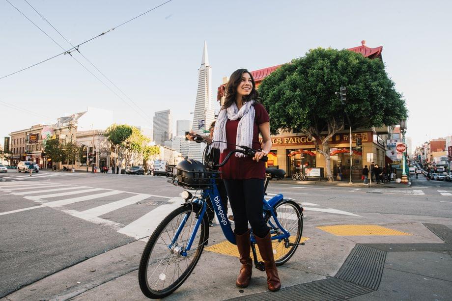 1491443867545340.jpg 640.webp.jpg