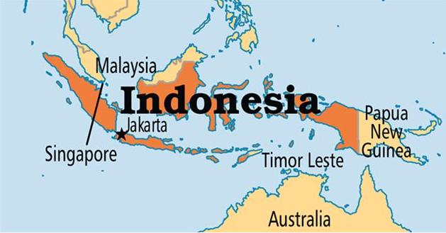 1509710629227315.png 1508311552_pic_real.jpg.png