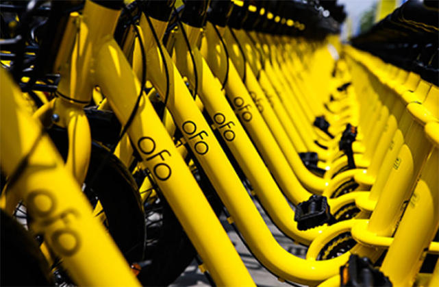 1520923901603446.jpg 小黄.webp.jpg