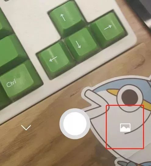 1525947588877873.jpg 的.webp.jpg