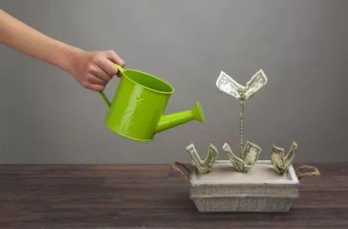 1530762047408733.jpg 支付2.webp.jpg