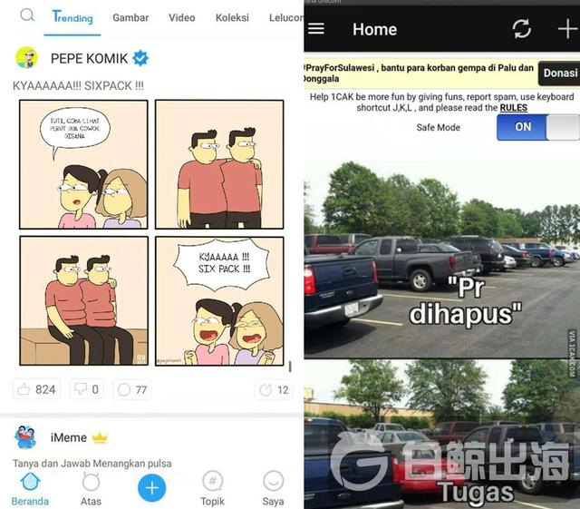 1543998193274782.jpg 2.jpg