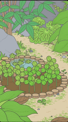 是6.gif