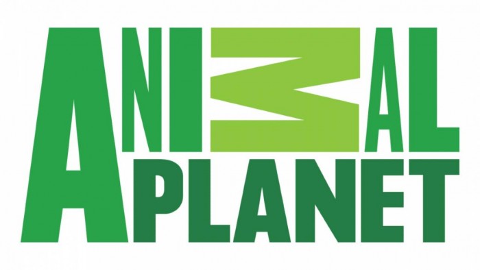 疫情期间discovery决定向用户免费提供超6万个视频内容