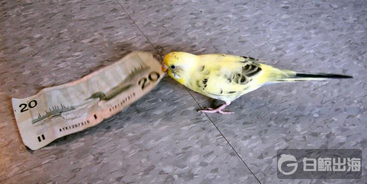 1594892283210678.jpg 1.jpg