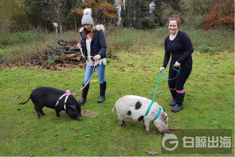 1595505029608738.png image.png