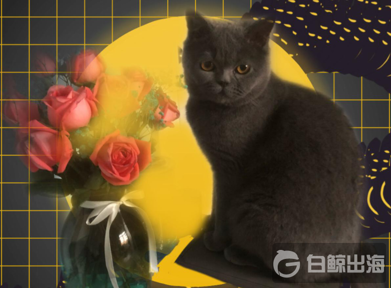 1595505073963838.png image.png