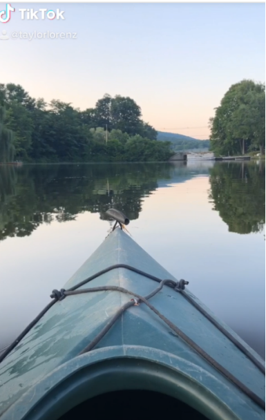 1597836150495947.png image.png