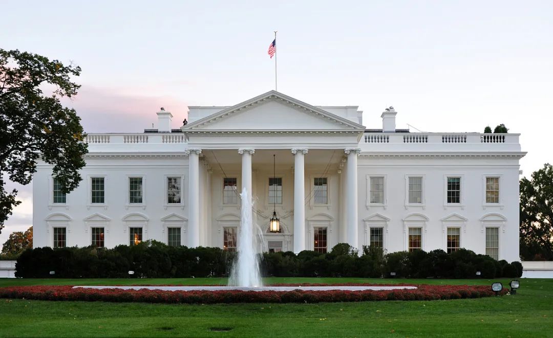 1597837651211871.jpg 7.jpg