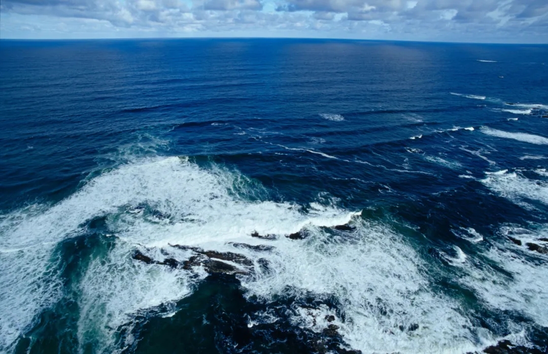 1599731103640973.jpg 啊8.webp.jpg