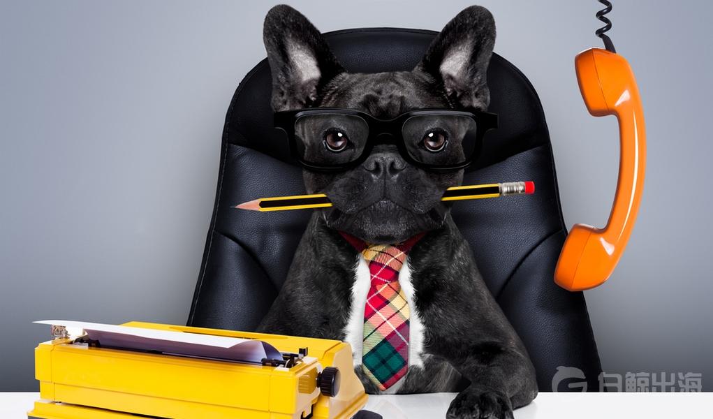 Most-Profitable-Pet-Business-Ventures-to-Start-Today.jpg