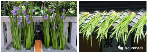 1611926915709598.png 640 (22).png