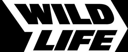 1621567602947030.png image.png