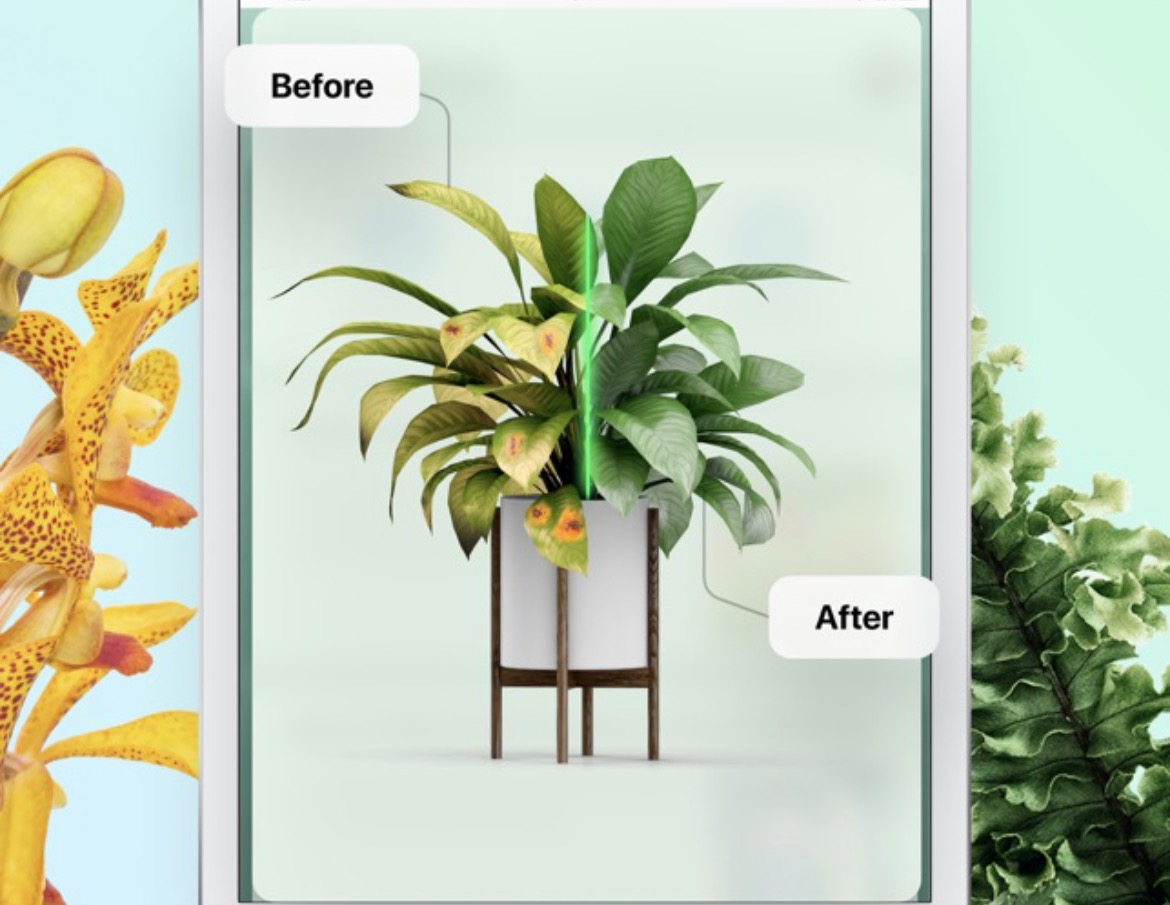 1623526701509276.jpg 1623413563_pic_real.jpg