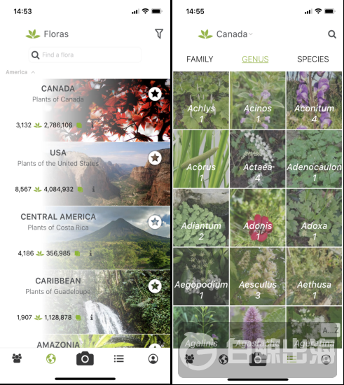 1627301233334602.png 8.png