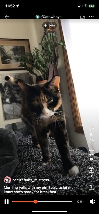 1629081536186296.jpg 在3.jpg