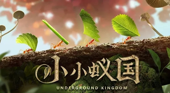 1629359566172322.jpg 在6.webp.jpg