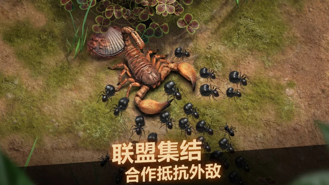 1631867547598220.jpg 啊11.webp.jpg