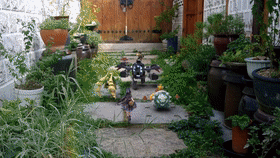 1634009244483659.gif 是6.gif