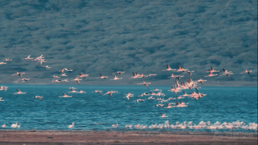 1638848558756144.png image.png