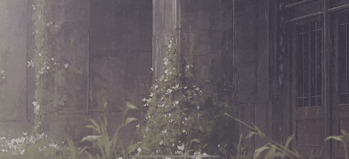 1642402555251697.gif 是3.gif