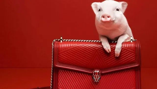 1648805019531303.jpg 啊3.jpg