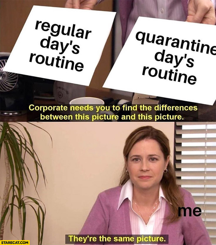 the-office-regular-days-routine-quarantine-days-routine-theyre-the-same-picture-coronavirus-memes-covid-19.jpg