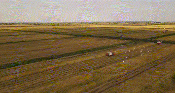 1655880942274609.gif 0.gif