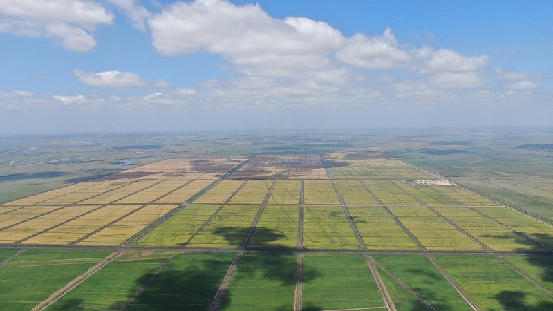 1655881057620178.png 2.png