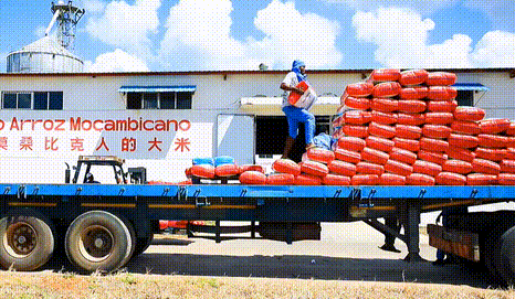 1655881163393111.gif 4.gif