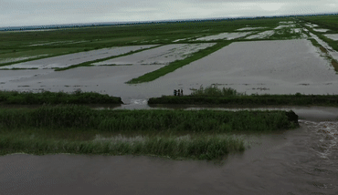 1655882049710516.gif 14.gif