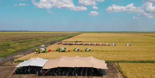 1655882344922350.png 1.png