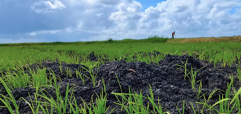 1655882367240605.png 3.png