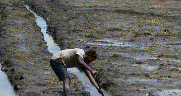 1655882560507462.gif 6.gif