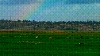 1655882611575852.gif 8.gif