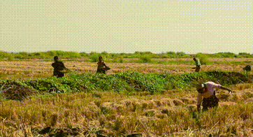 1655882655320661.gif 12.gif